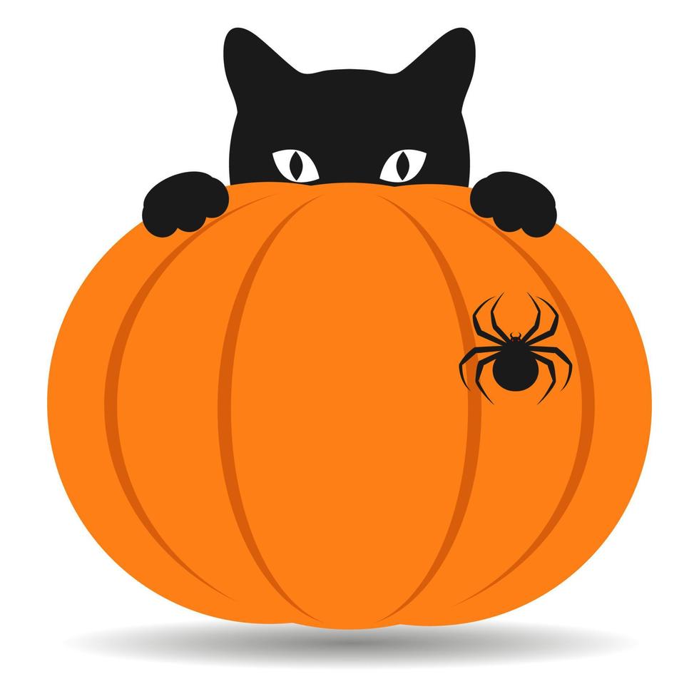 Halloween illustration with black cat and pumpkin vector