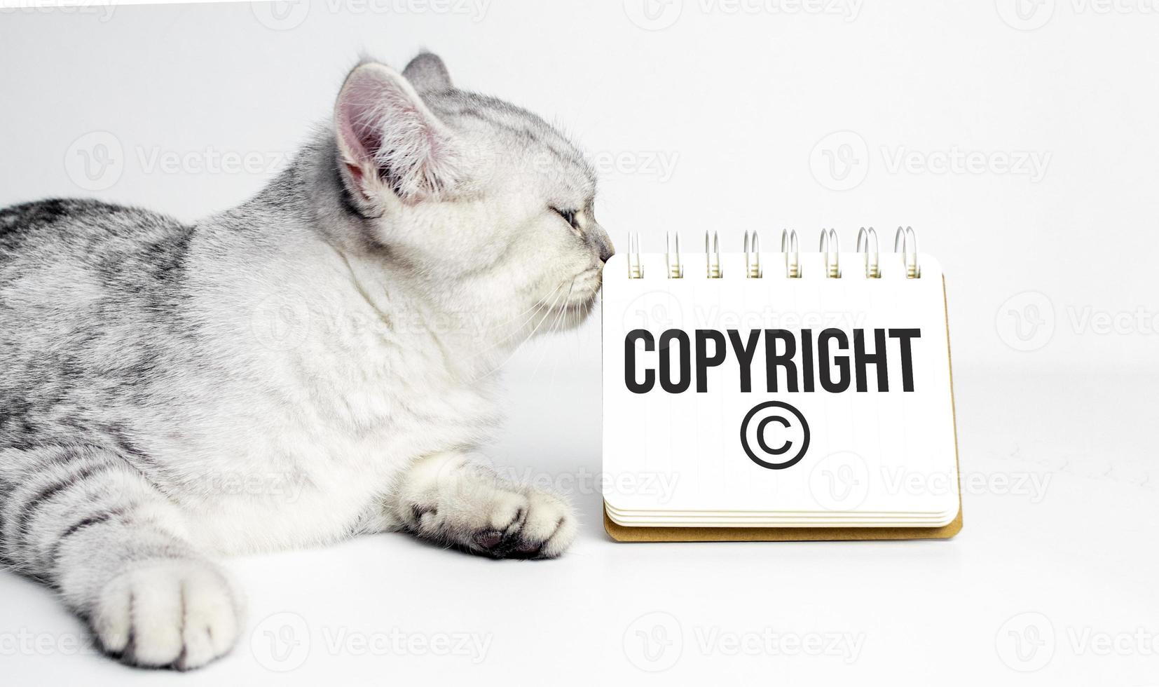 word Copyright text on white paper on light background photo