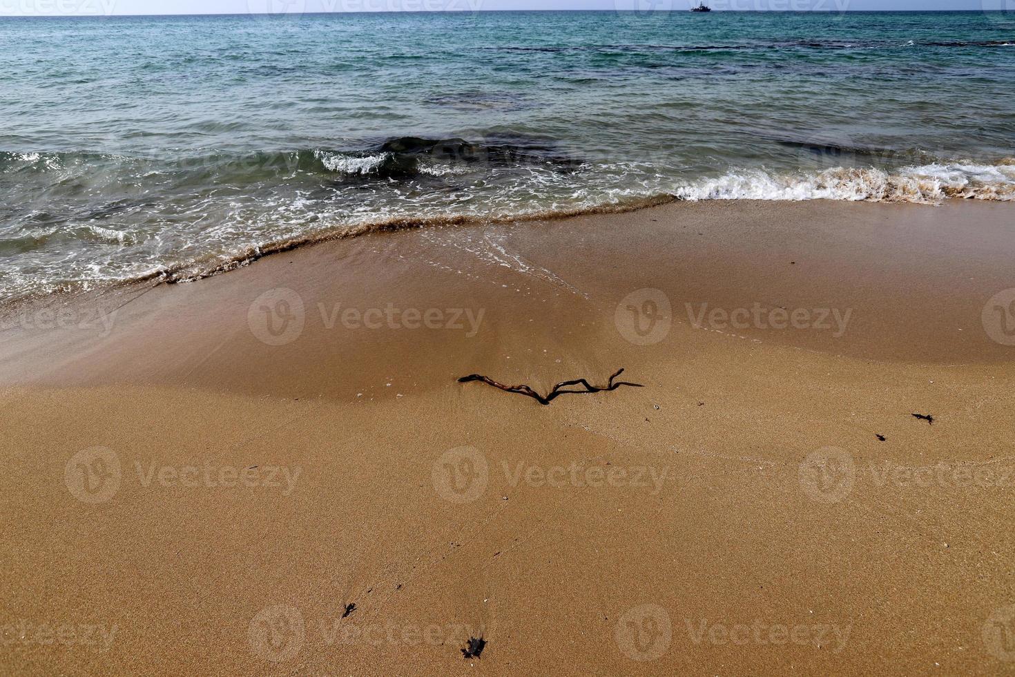 Sandy beach on the Mediterranean Sea in northern Israel. photo