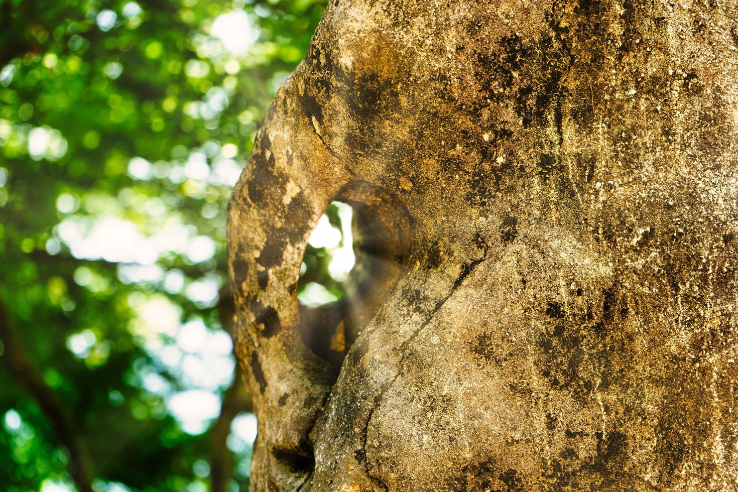 Natural background with a rock on a blurred background with bokeh photo
