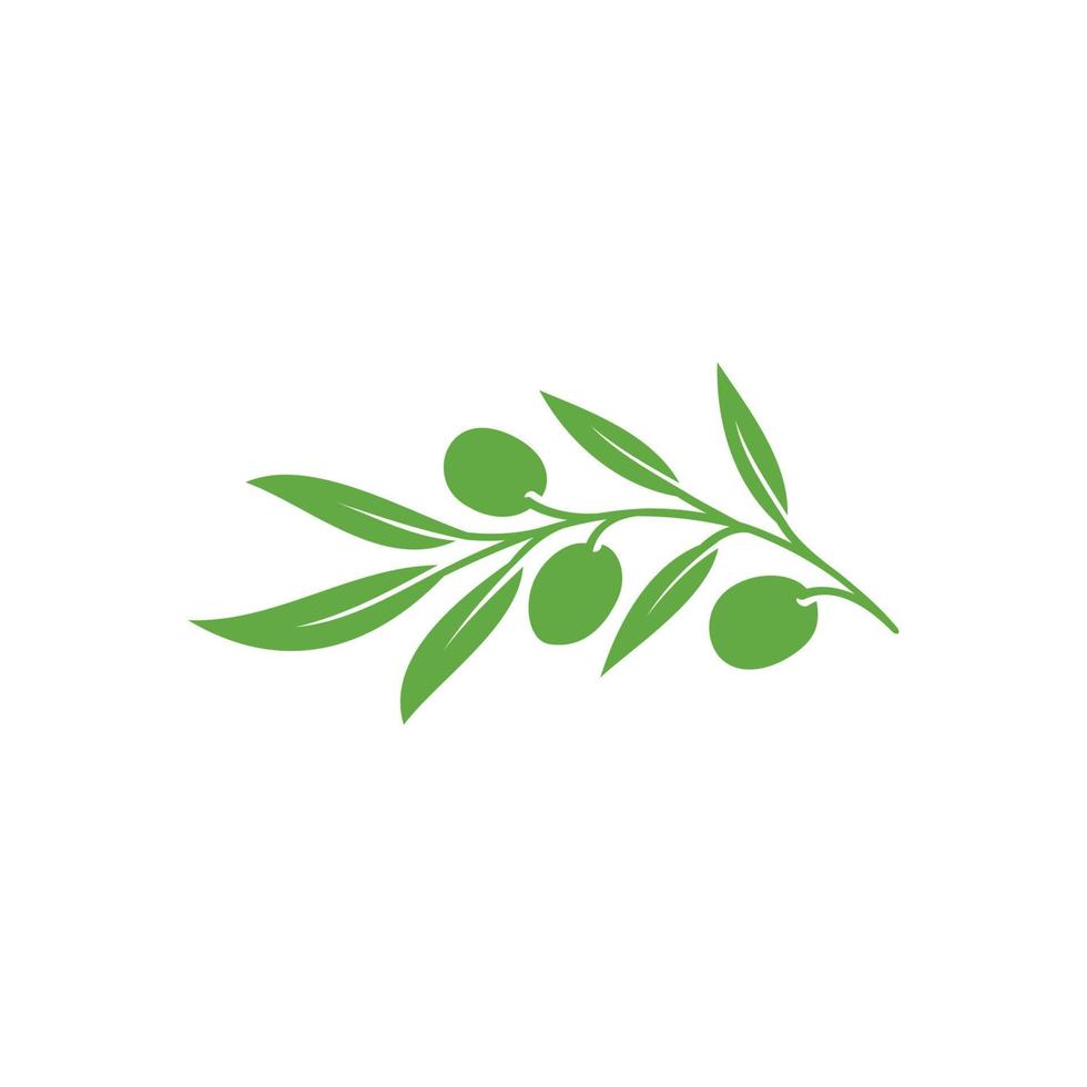 Olive logo icon illustration. Olive icon vector. olive branch flat sign. olive solid pictogram. olive logo illustration. Vector illustration