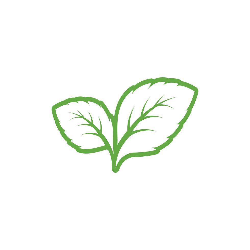 Mint leaves linear icon. Leaf vector illustration. Green mint leaves ecology nature linear element vector icon, Leaf linear Icon, mint leaves logo vector illustration