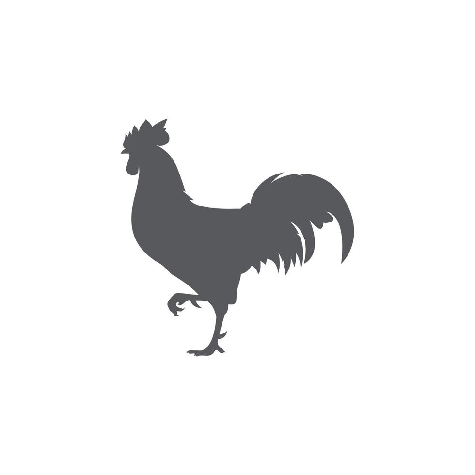 Rooster silhouette icon. Male cock side view. Vector illustration. chicken logo vector