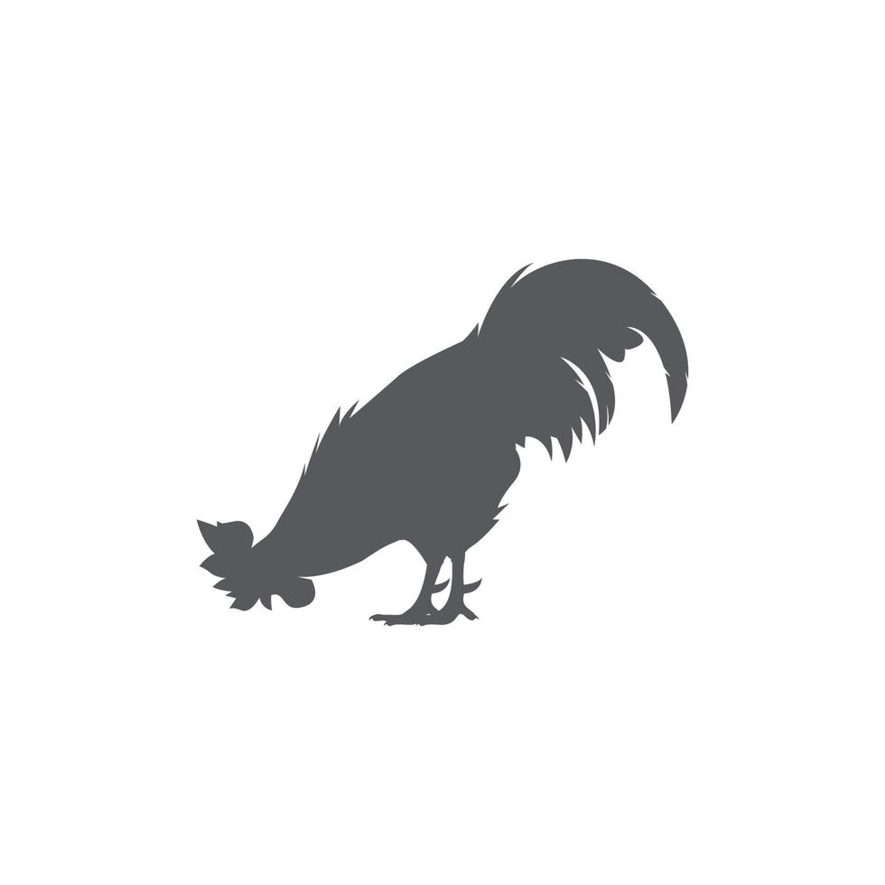 Rooster silhouette icon. Male cock side view. Vector illustration. chicken logo vector