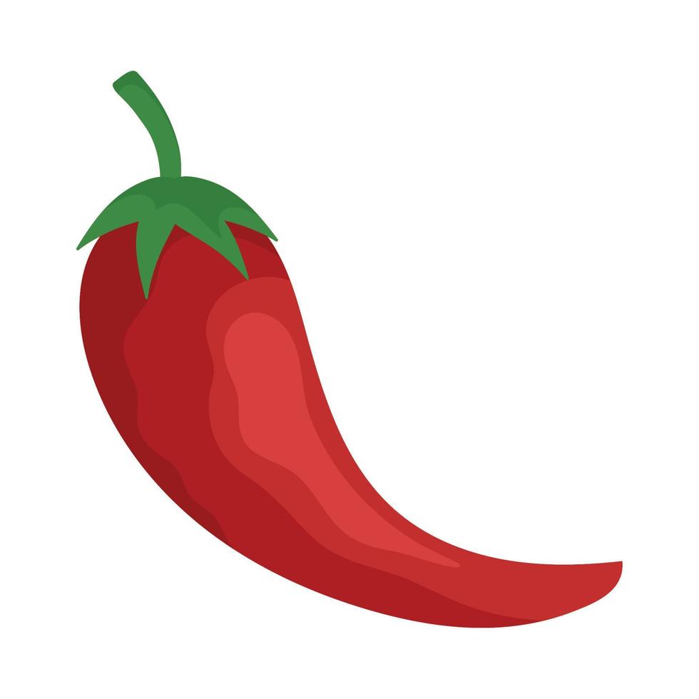 red chili pepper vegetable vector