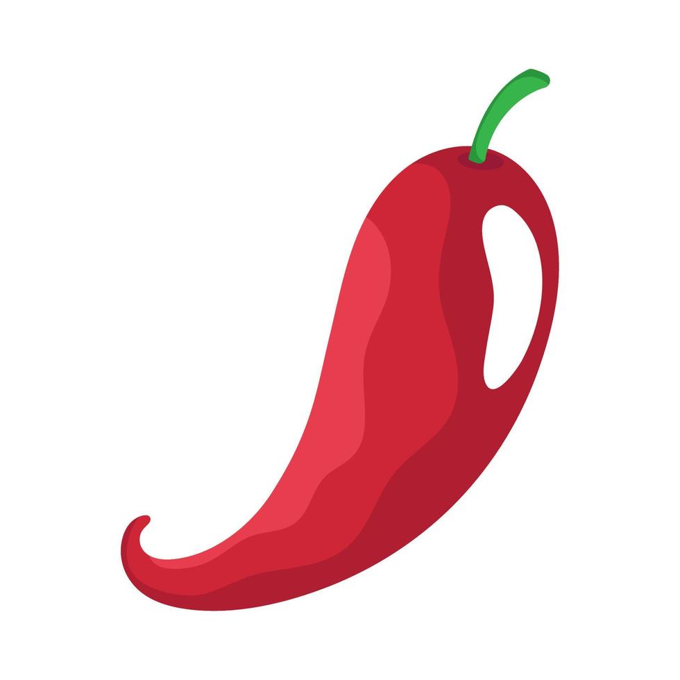 red chili pepper vector