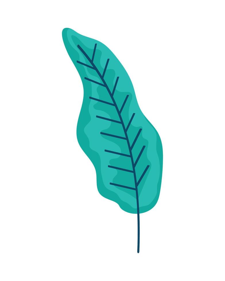 leaf plant foliage vector