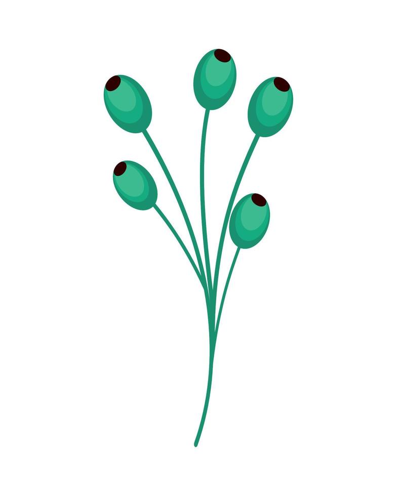 branch with green seeds vector