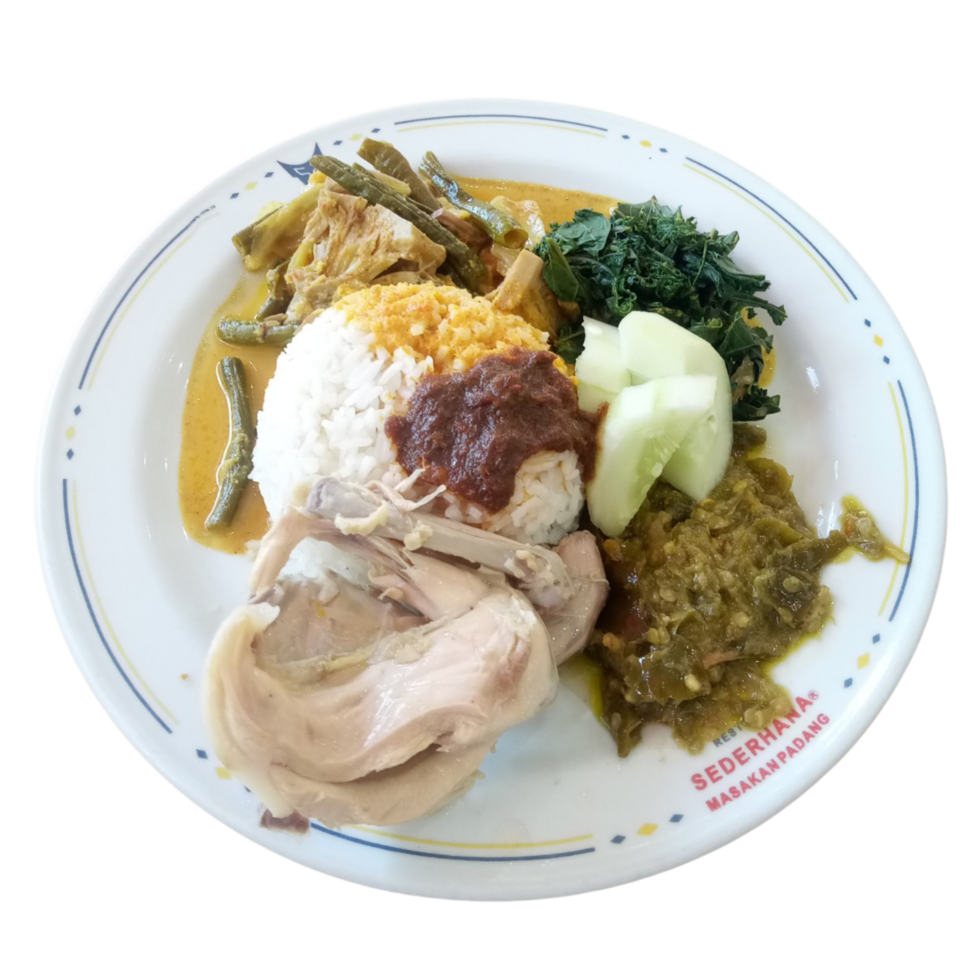 een bord van nasi padang. rijst- met kip kerrie en sommige groenten. Indonesisch voedsel Aan een bord png