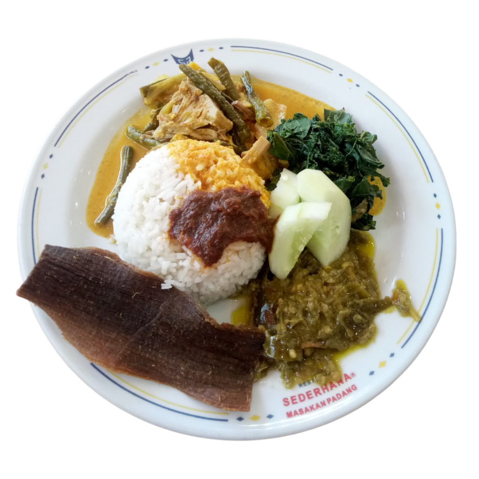 ein Teller Nasi Padang. Reis mit Hühnchen-Curry und etwas Gemüse. indonesisches essen auf einem teller png