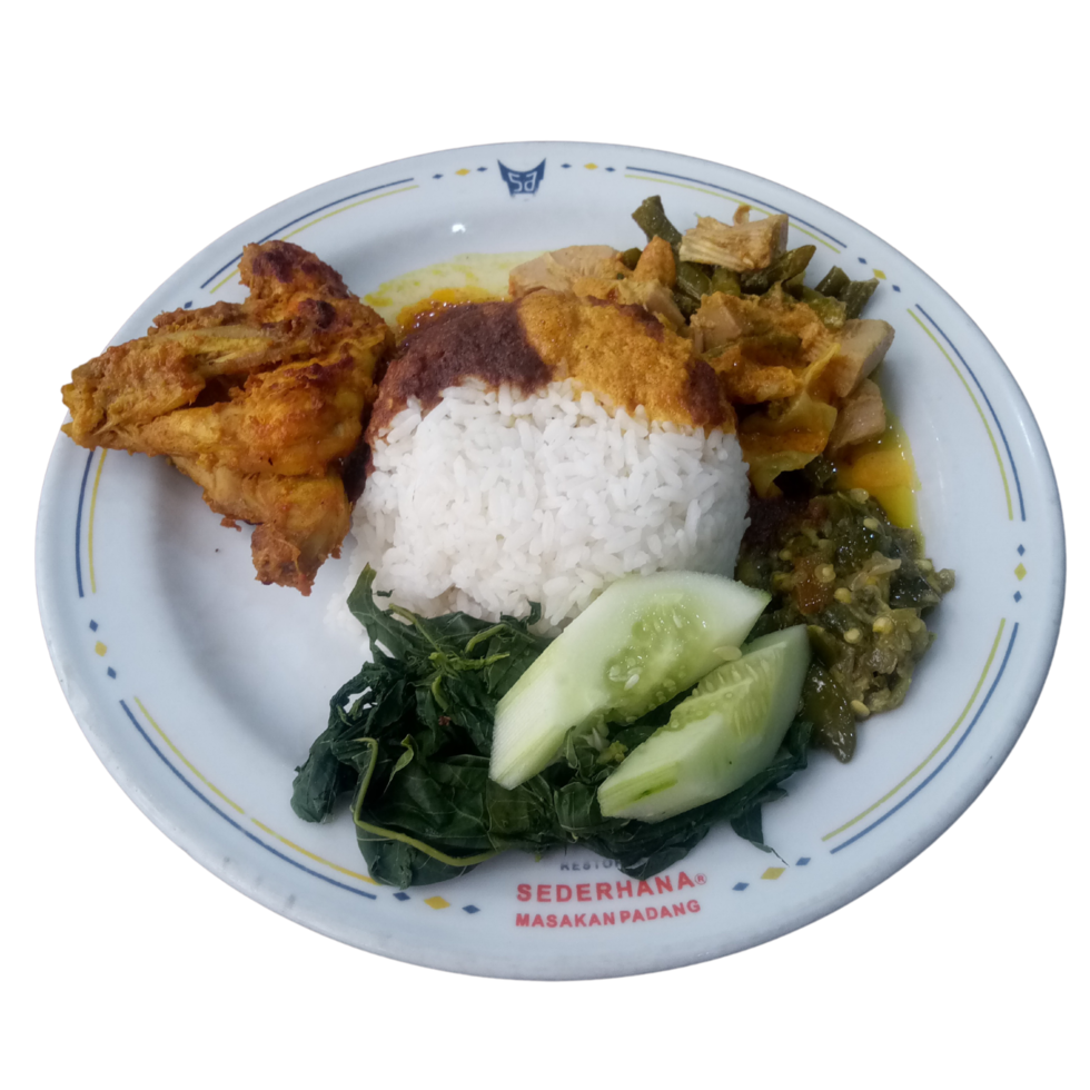 um prato de nasi padang. arroz com caril de frango e alguns legumes. comida indonésia em um prato png