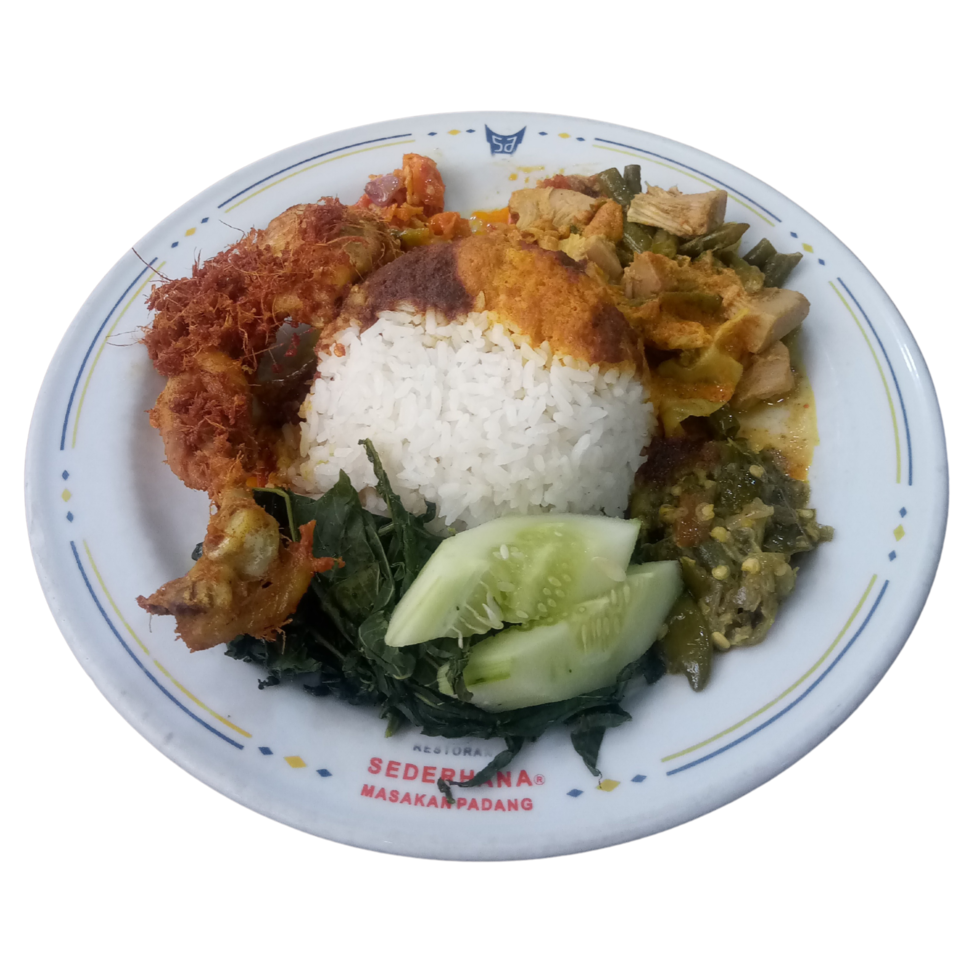 a plate of nasi padang. rice with chicken curry and some vegetables. indonesian food on a plate png