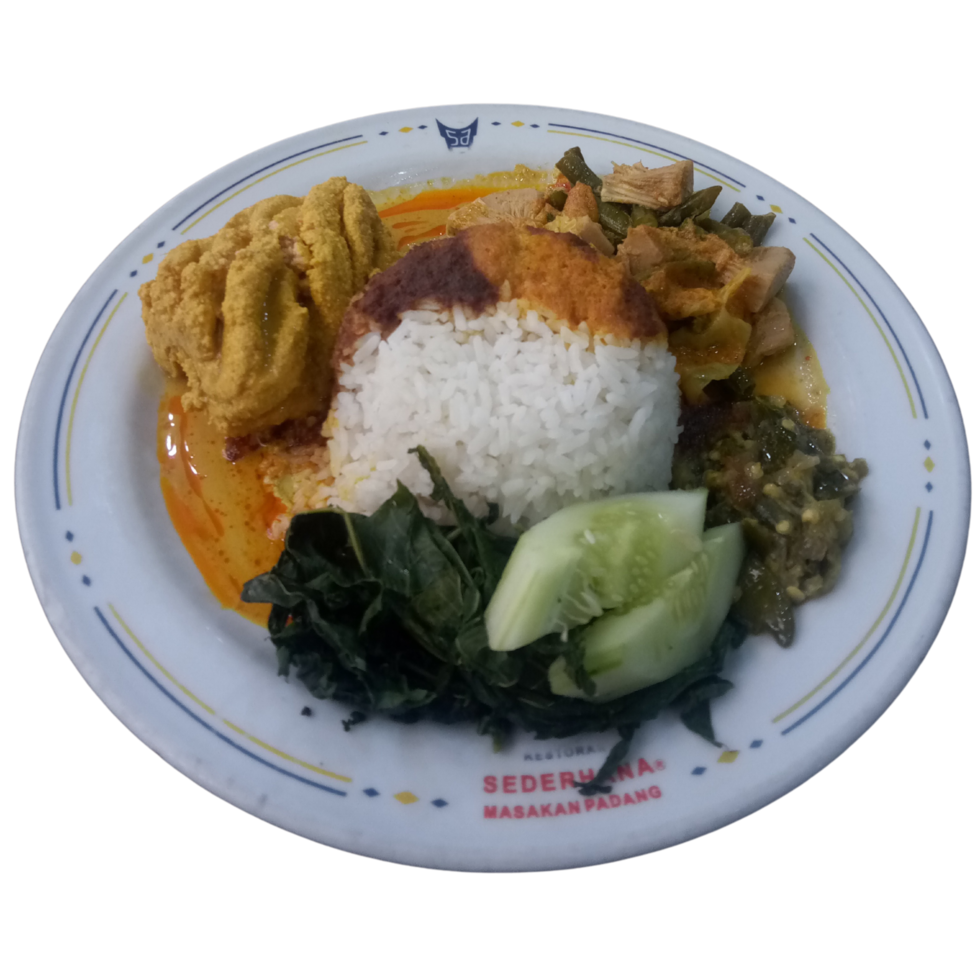 a plate of nasi padang. rice with chicken curry and some vegetables. indonesian food on a plate png