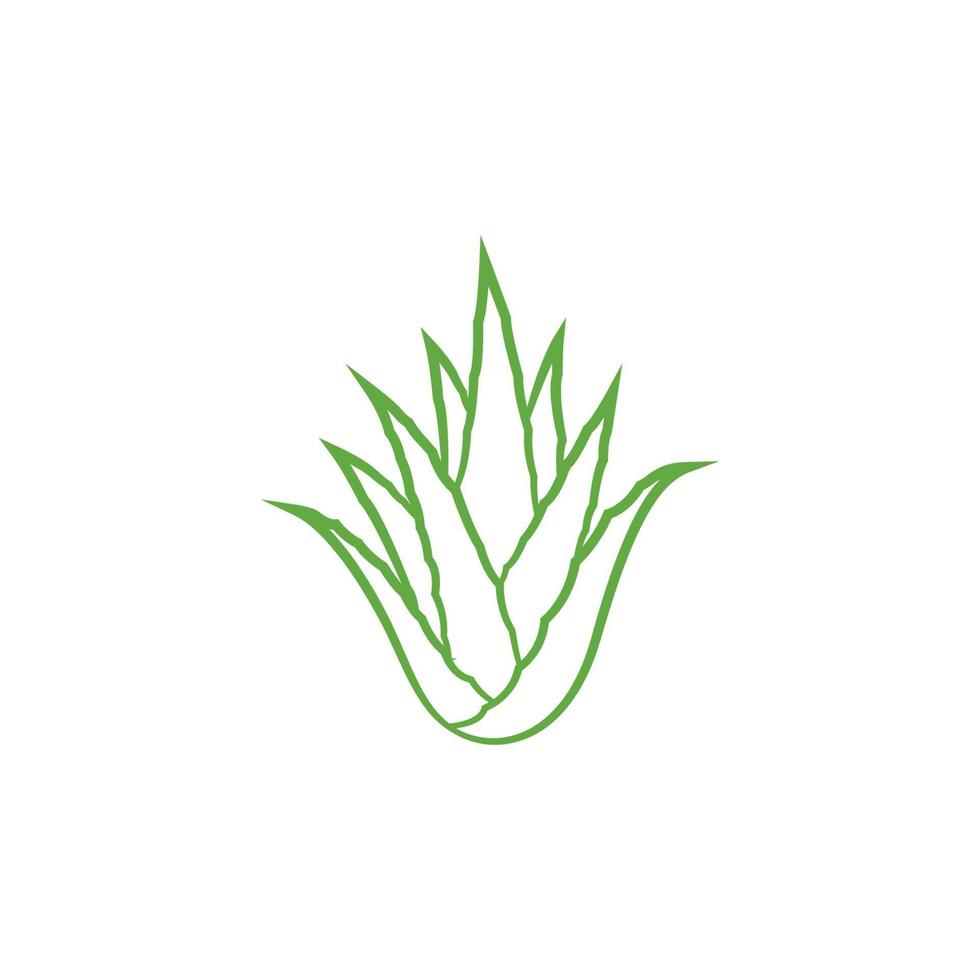 Green aloe vera plant icon design. Aloe vera leaf icon. Aloe vera plant icon. Vector illustration