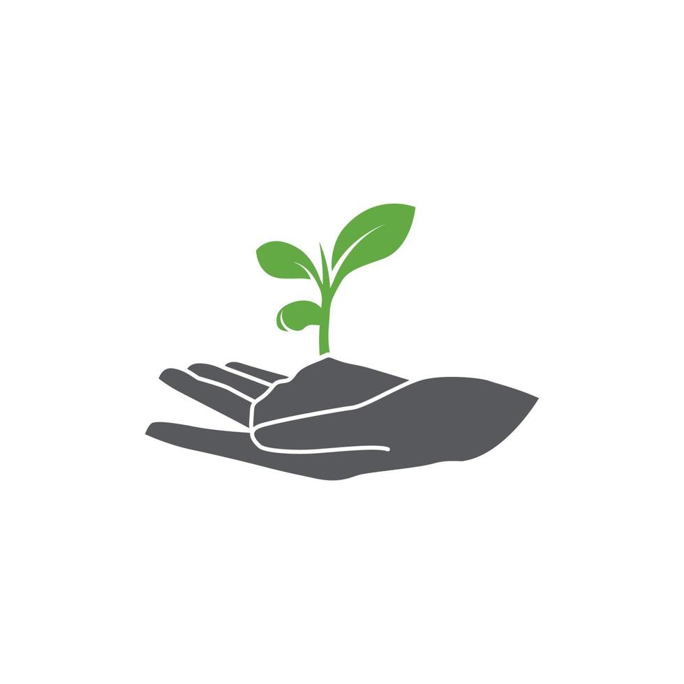 diseño de iconos de mano y planta. pictograma de hoja de planta. logotipo lineal de semilla y mano. árbol en vector de mano. ilustración vectorial