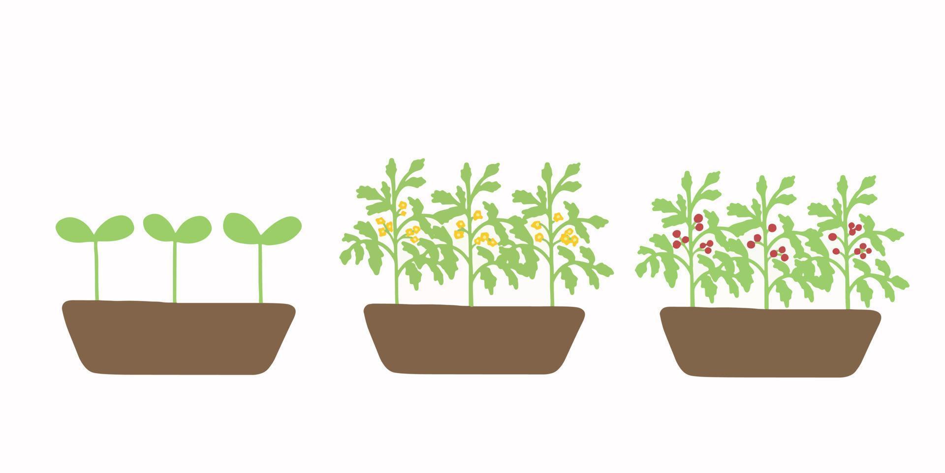 conjunto primaveral de plantas en macetas, plántulas de flores, ilustración plana vector