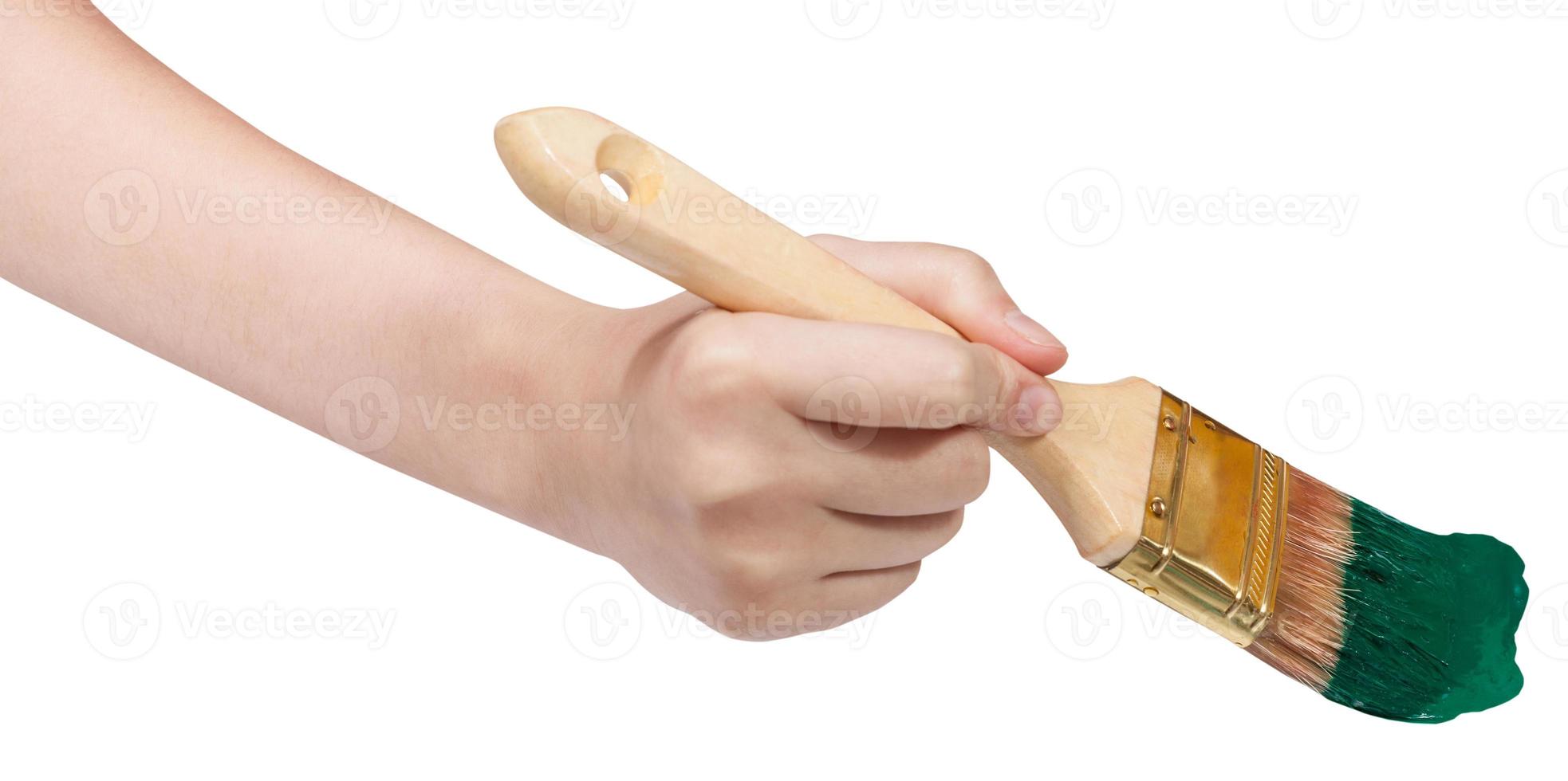 hand with flat paintbrush paints in green paint photo