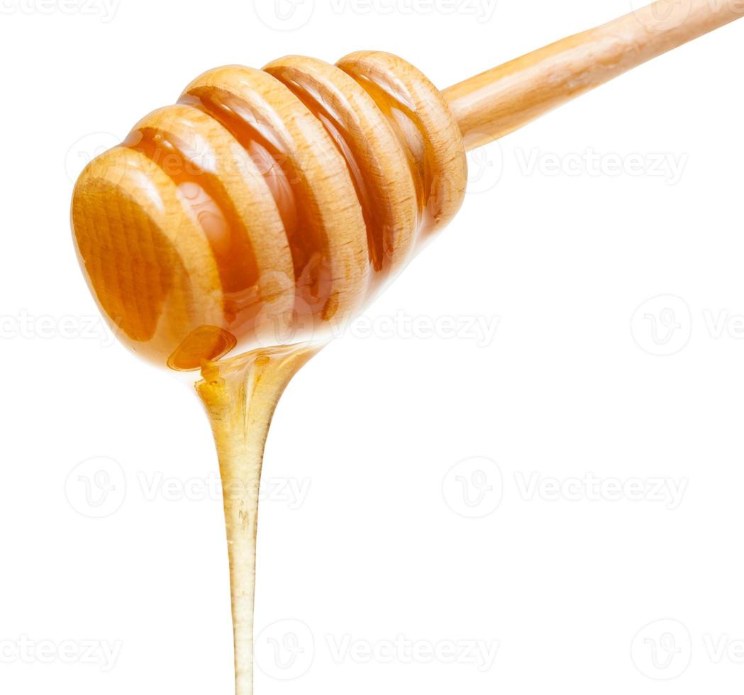 la miel clara fluye hacia abajo desde el primer plano del palo de madera foto