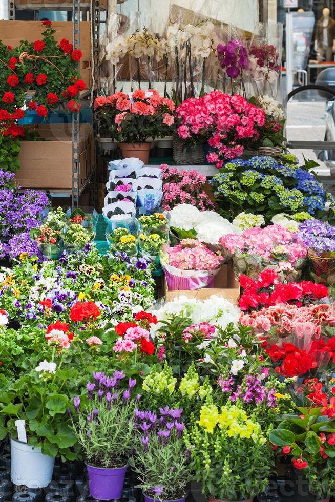 flower stall on street in Padua city in spring photo