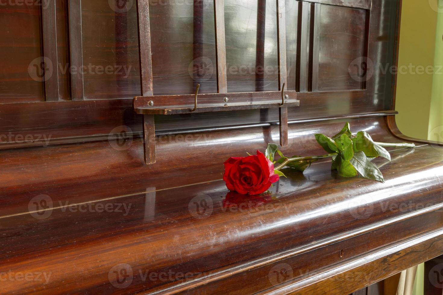 Red rose on the top of closed grand piano photo