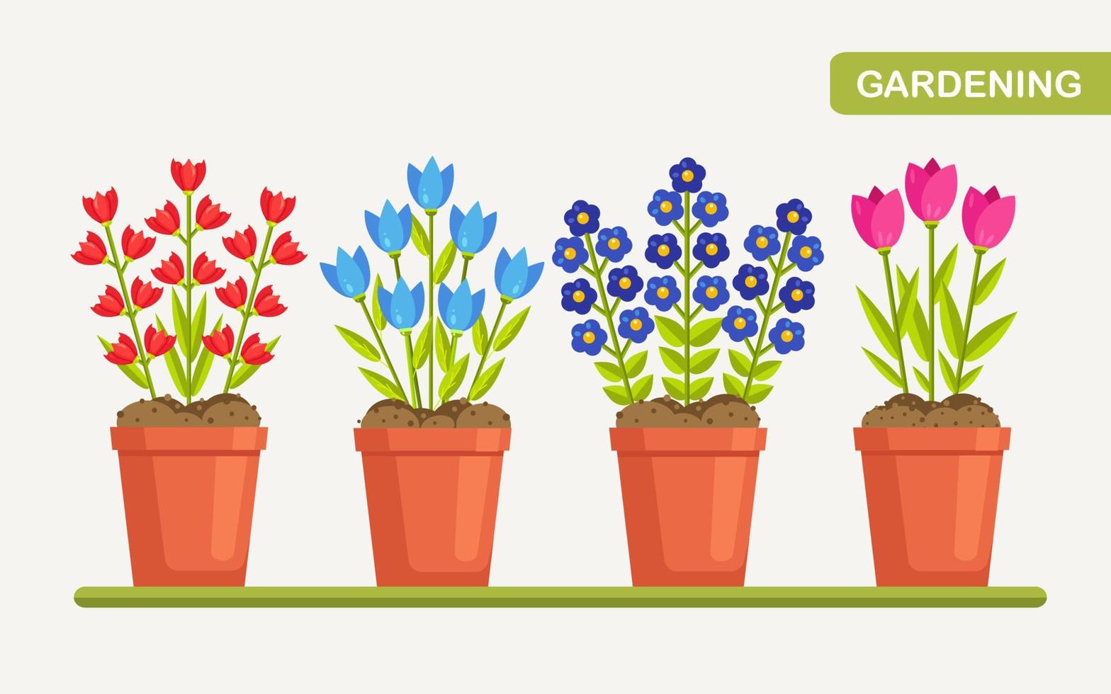 Flowers in pot. Blossom plant in botanical flower pot. Nature concept