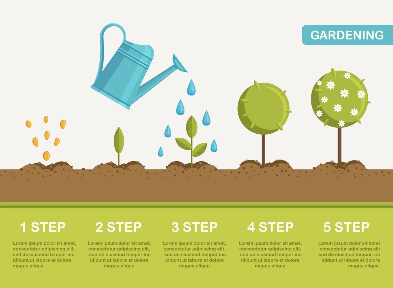 Growth of plant in ground, from sprout to flower. Planting tree. Seedling gardening plant. Timeline vector