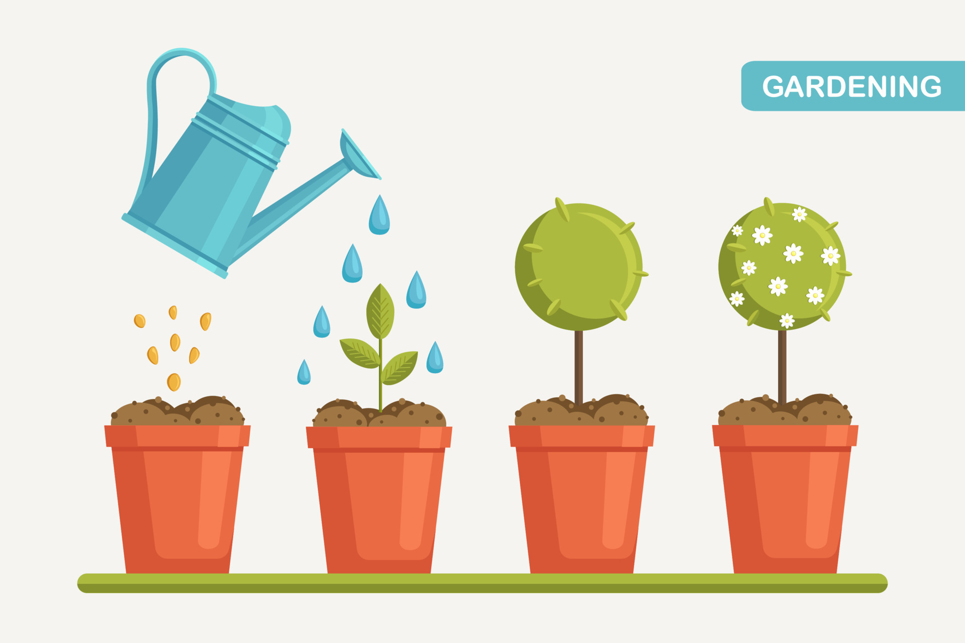 Growth of plant in pot, from sprout to flower. Planting tree. Seedling