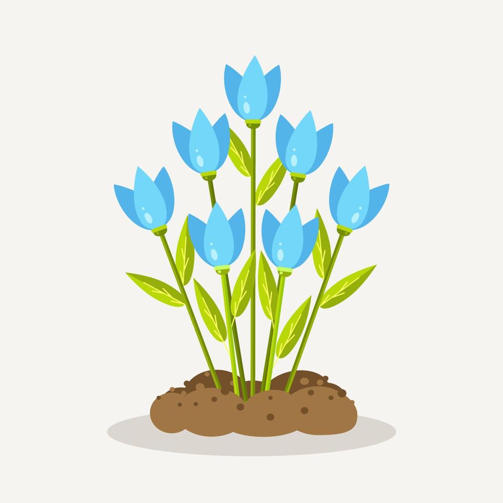 Blue tulips with heap of soil, ground. Gardening, planting flowers. Spring time vector
