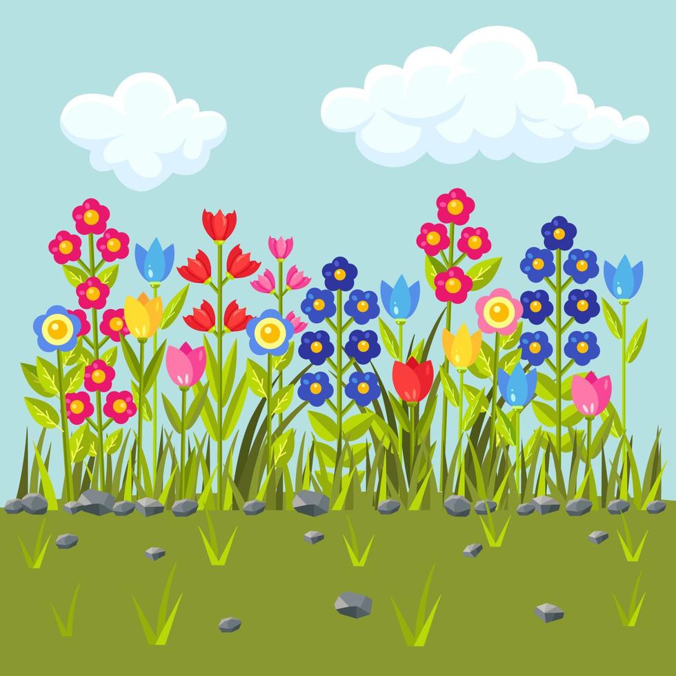 Flowers field with colorful blossom. Green grass border. Spring scene vector