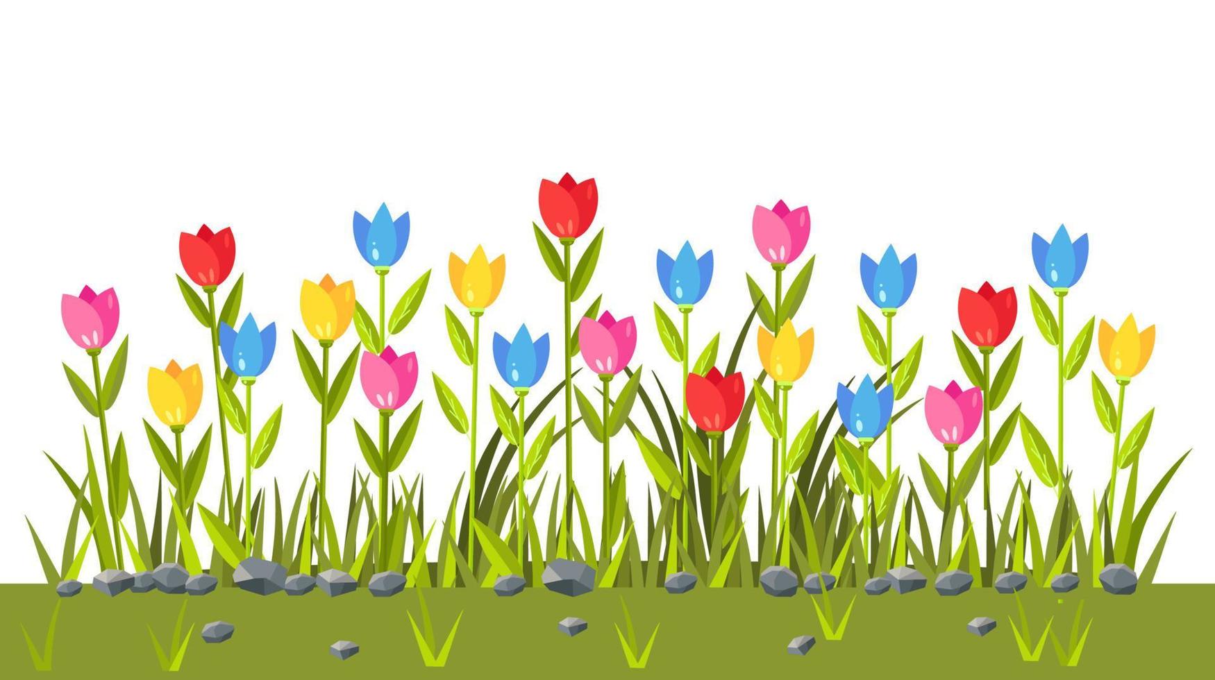 Flowers field with colorful tulips. Green grass border. Spring scene vector