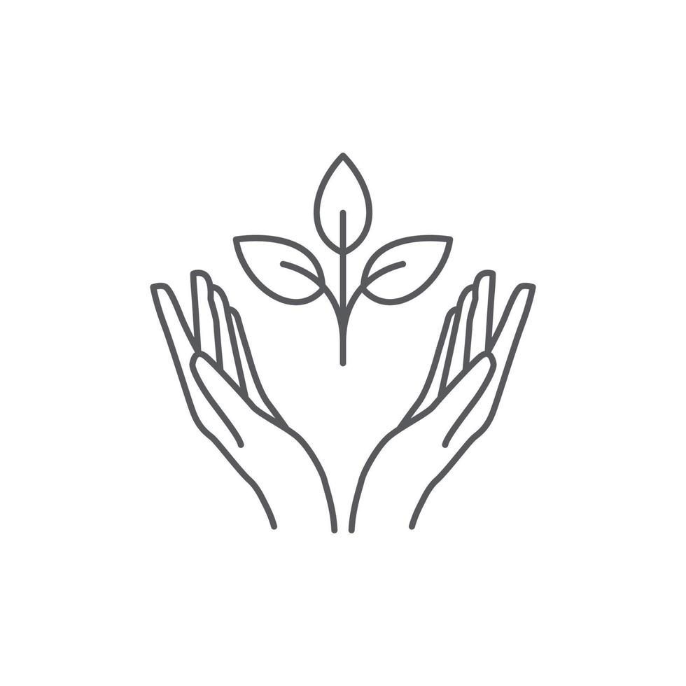 Hand and Plant icon design. plant leaf Pictogram. seed and hand linear logo. Tree in hand vector. Vector illustration