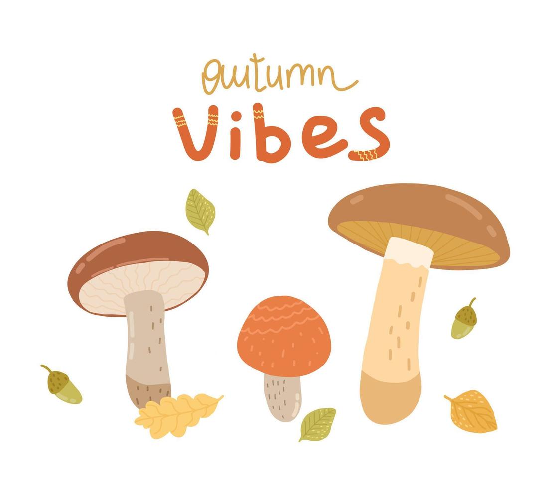 Illustration of mushrooms, boletus, porcini mushrooms, boletus.Mushroom season. Autumn vibes. Autumn illustration for postcard, poster, book, notepad. vector