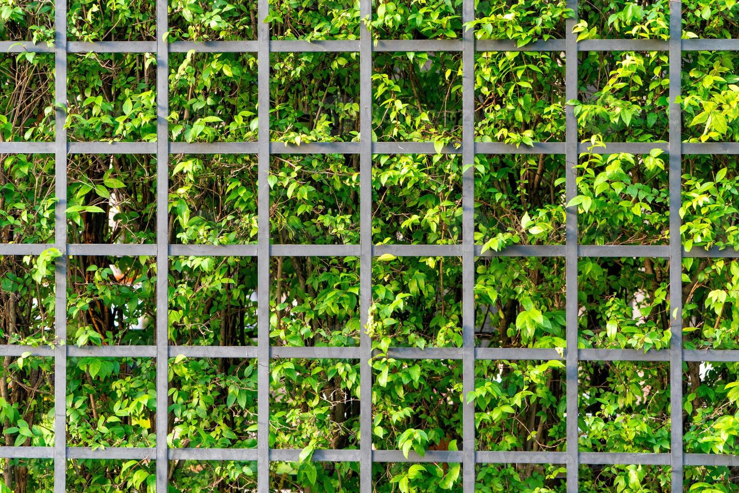 black Fence square with background of trees and leafs behind it photo