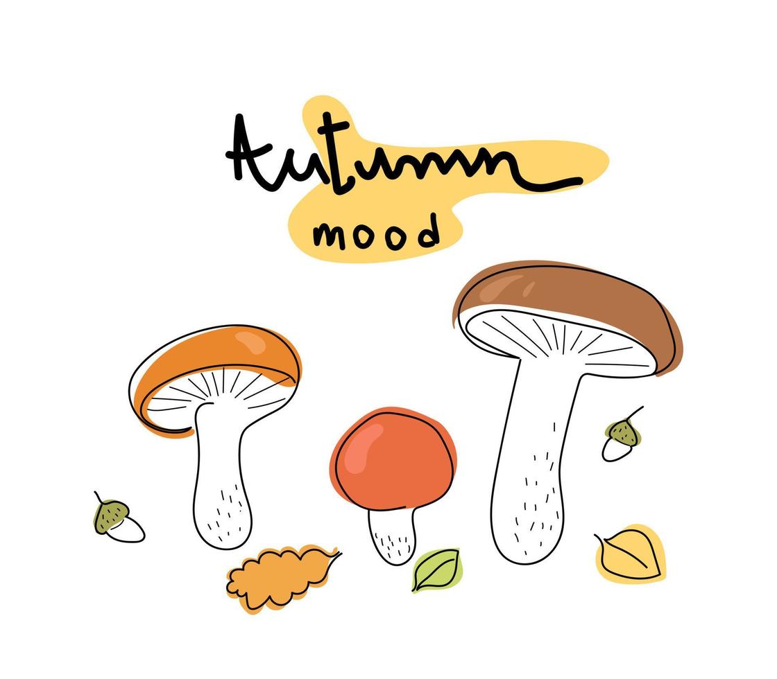 Line art Illustration of mushrooms, boletus, porcini mushrooms, boletus.Mushroom season. Autumn vibes. Autumn illustration for postcard, poster, book, notepad. vector
