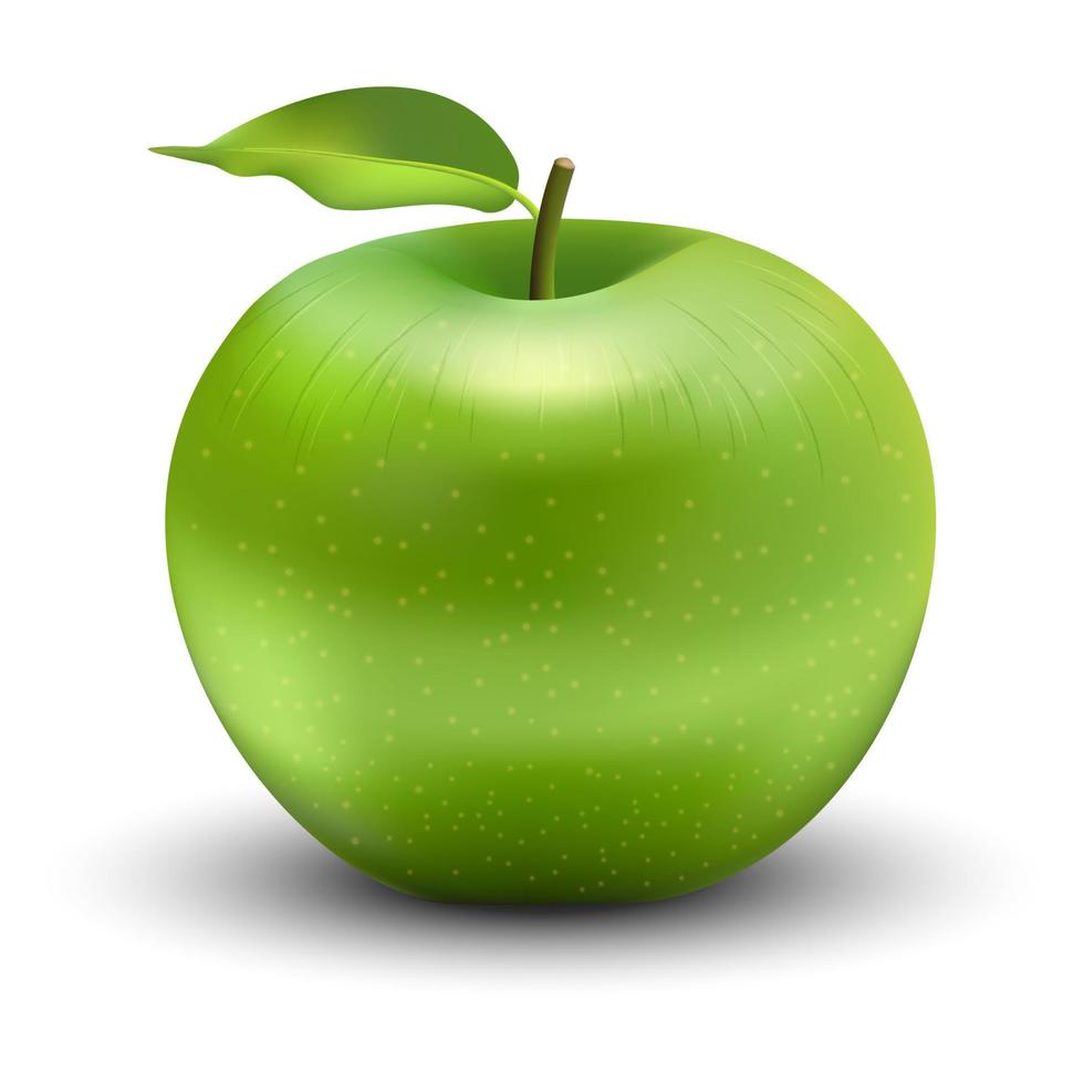 Vector illustration of green apple