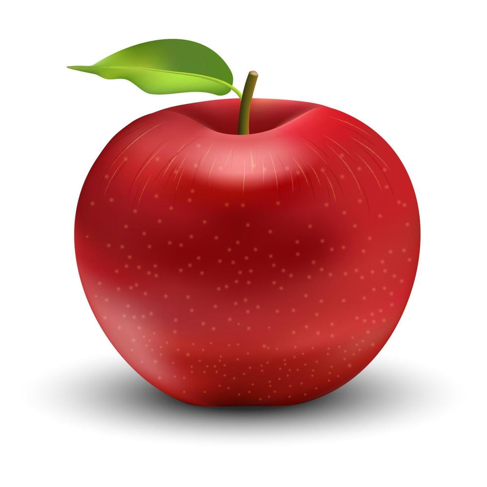 Vector illustration of red apple