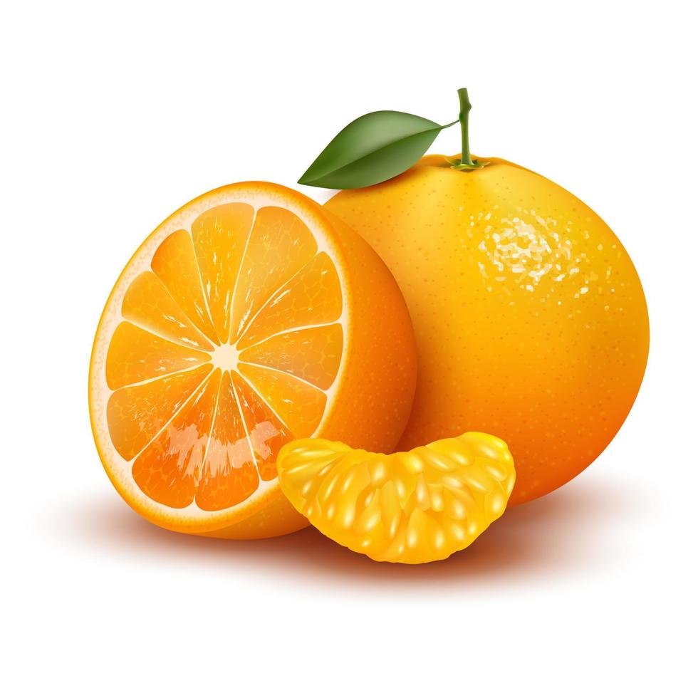 3d realistic vector of whole orange, sliced orange leaves. Editable handmade mesh