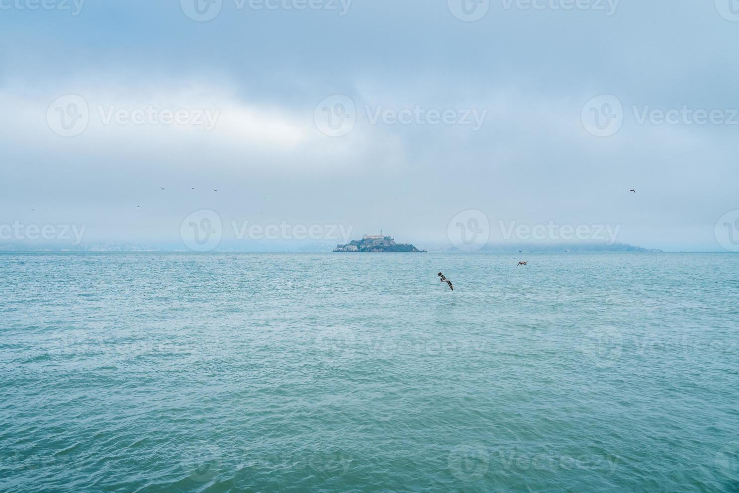 Alcatraz jail island in San Francisco bay with brown pelicans photo