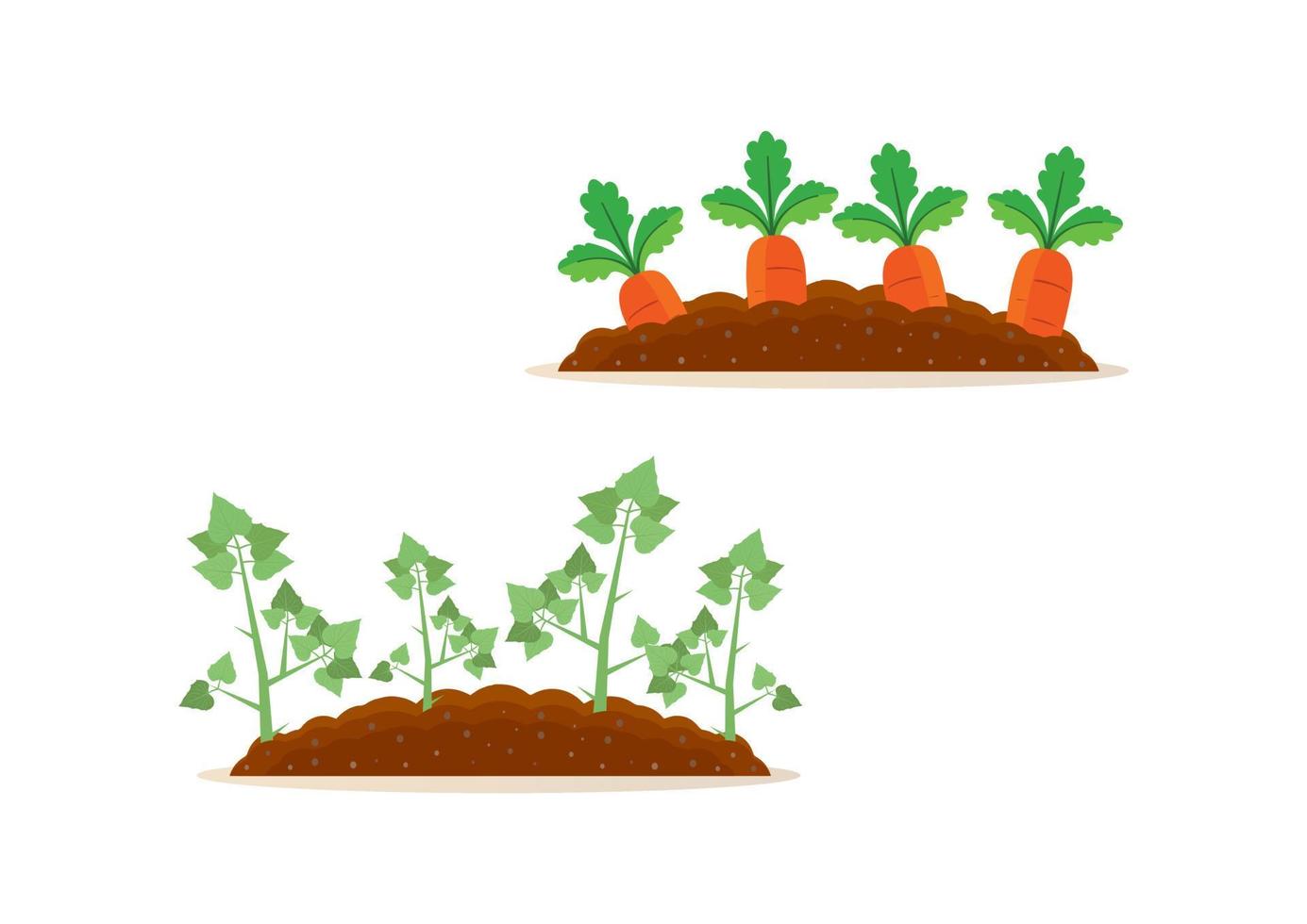 Imágenes Prediseñadas de cosecha de patatas y zanahorias vector