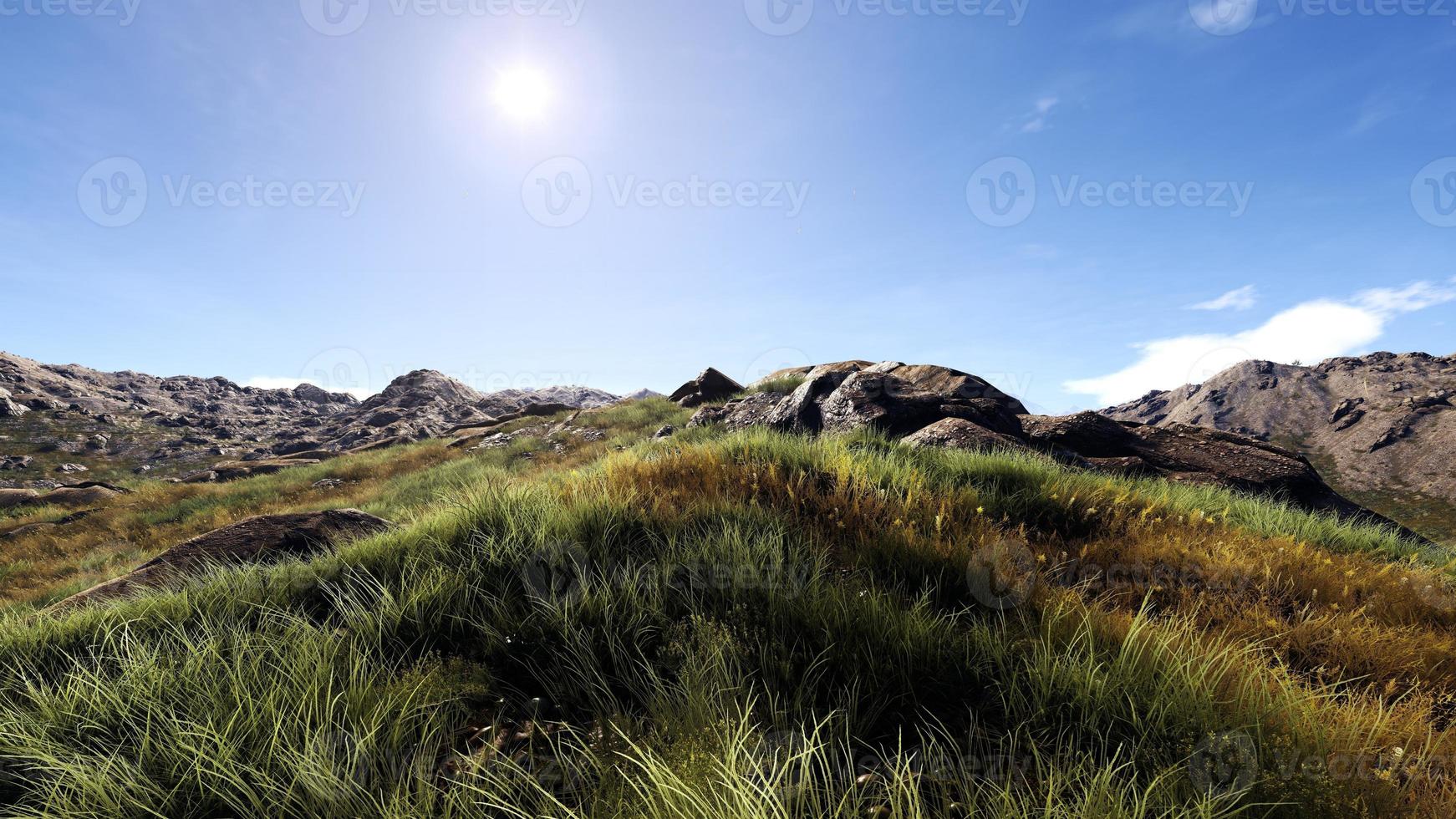 Rich natural forest area, streams, sky, mountains and various plants 3D rendering photo