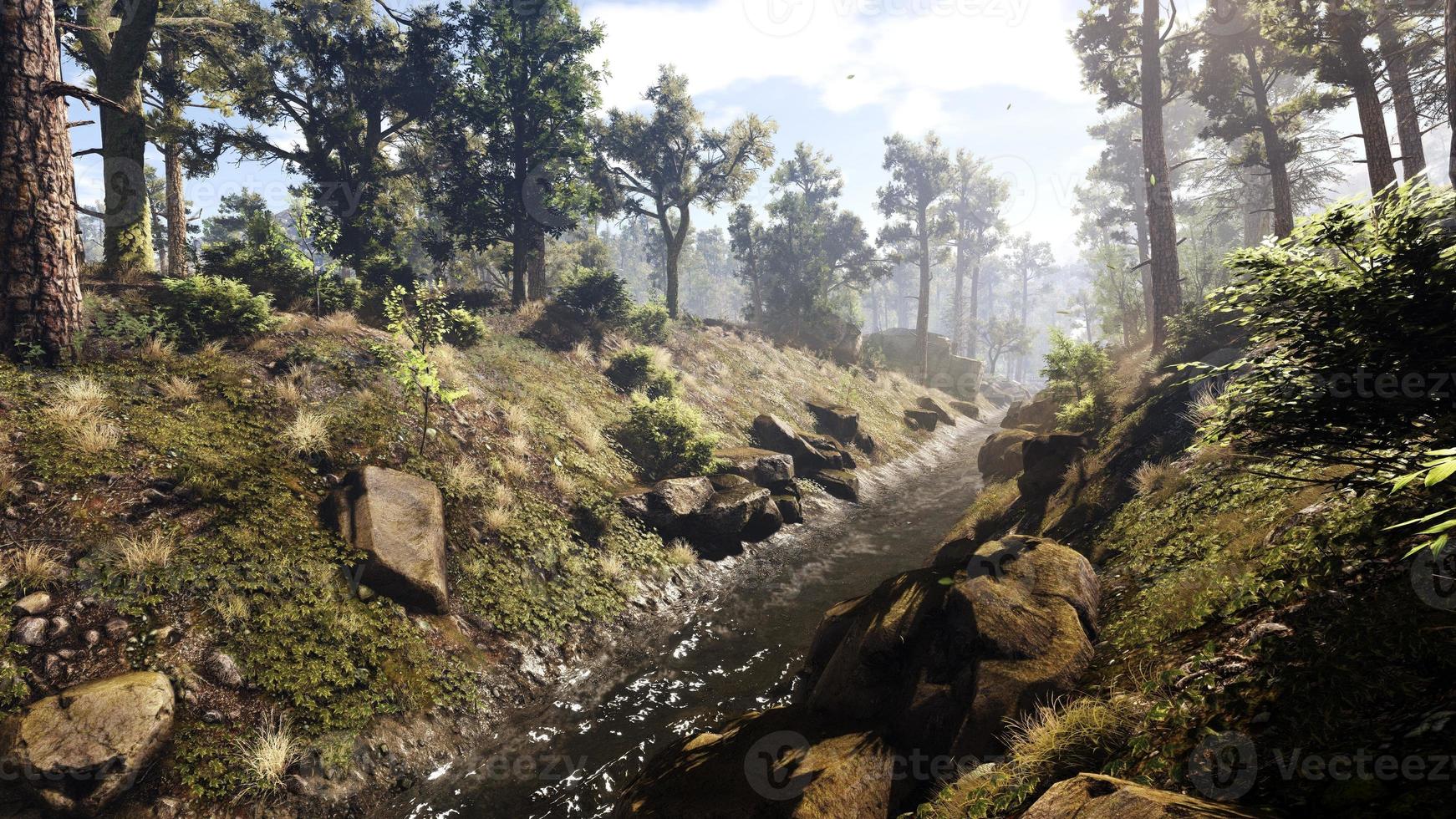Rich natural forest area, streams, sky, mountains and various plants 3D rendering photo