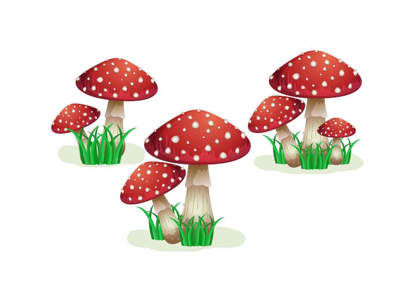 Set Of Mushrooms Isolated On white Background vector