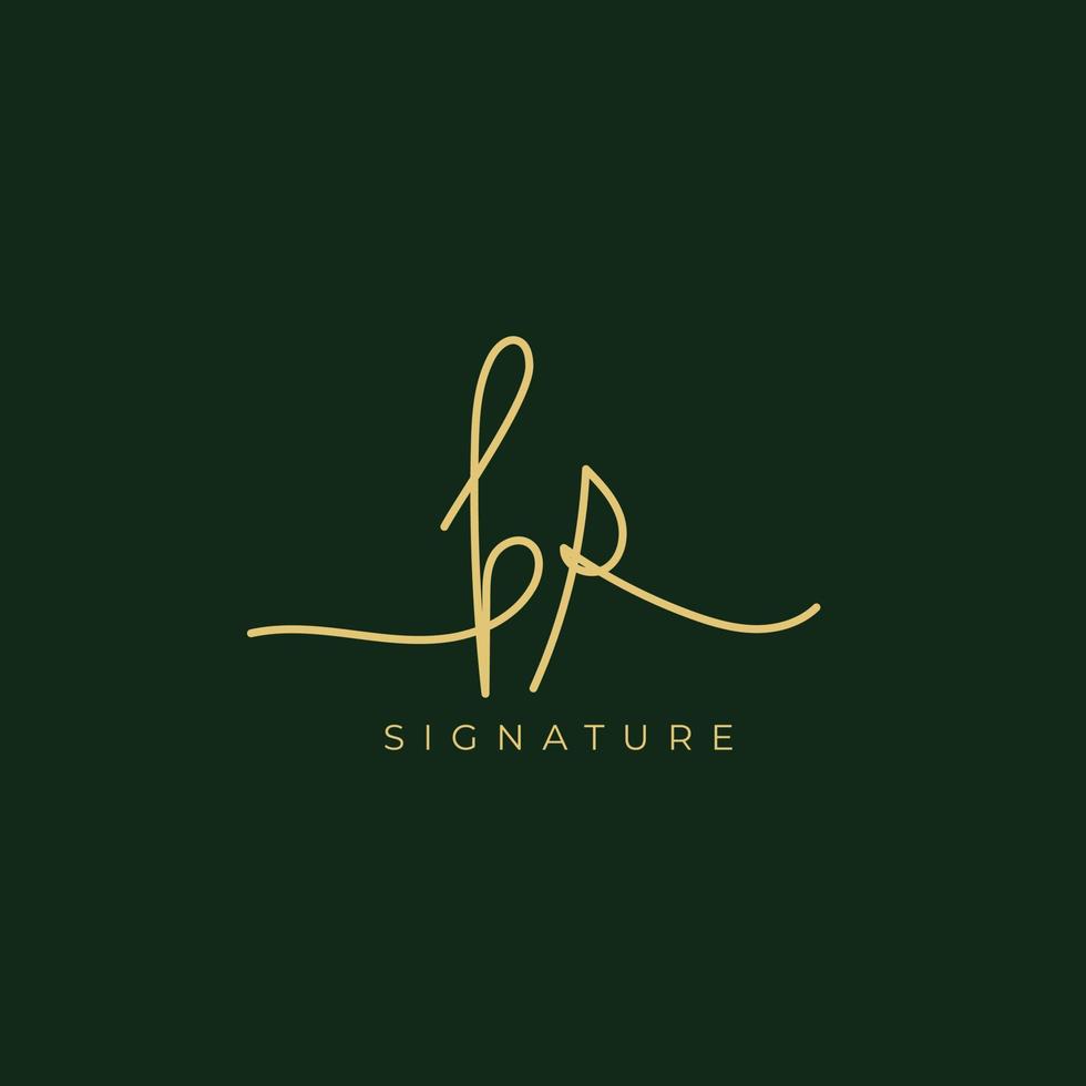 Unique Hand Lettering Signature BR Logo Design vector