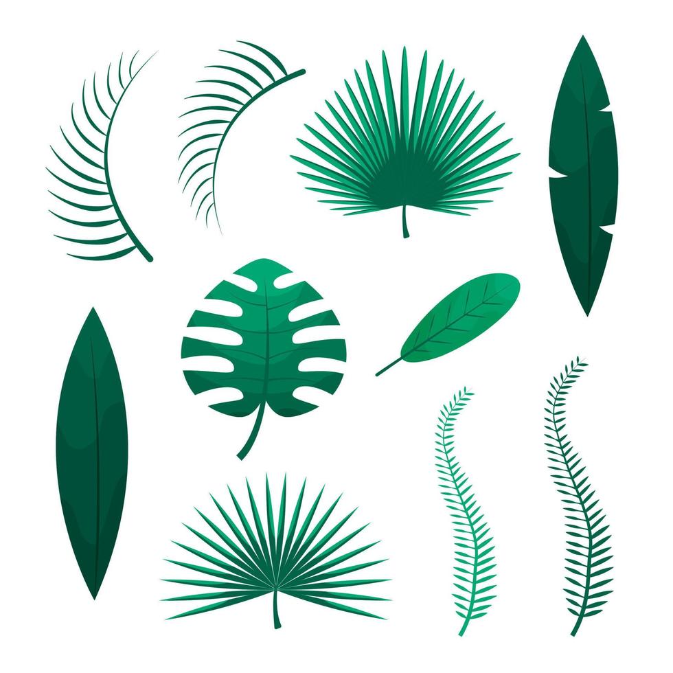 Set of tropical leaves. Green jungle palm leaves on white background. Flat vector illustration.