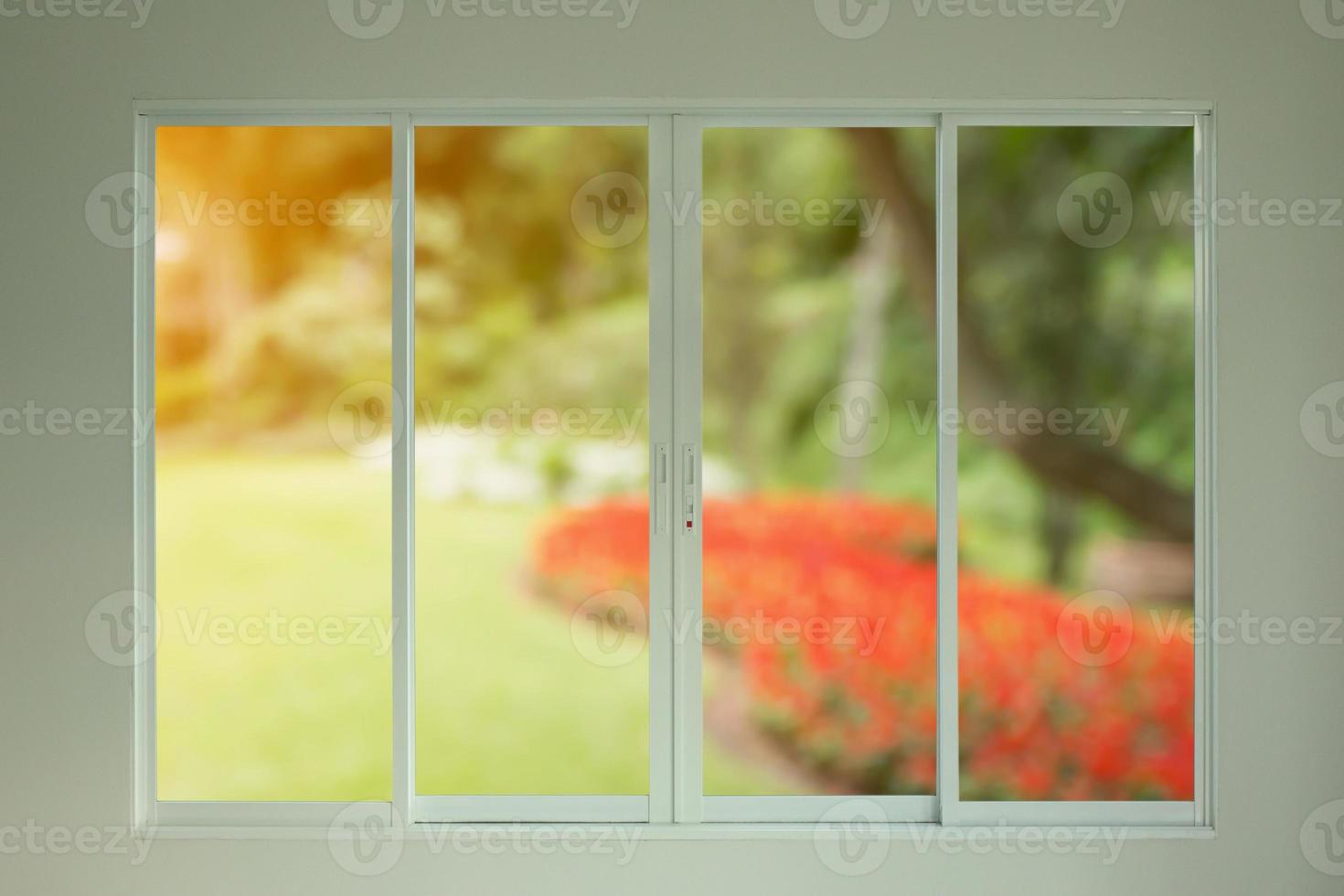 green garden view through the window photo