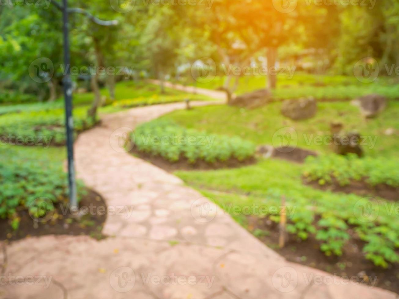 Walkway in the flowers garden blur background photo