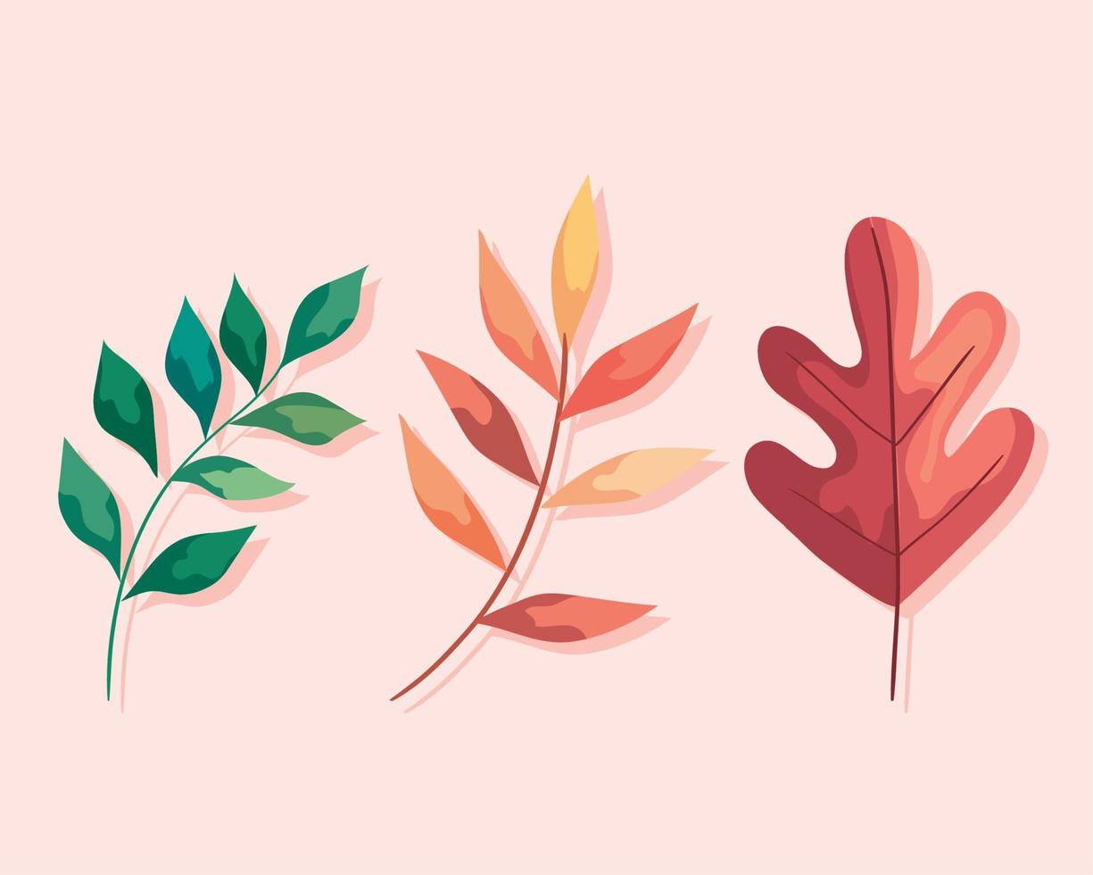 autumn branch with leafs plants foliage vector