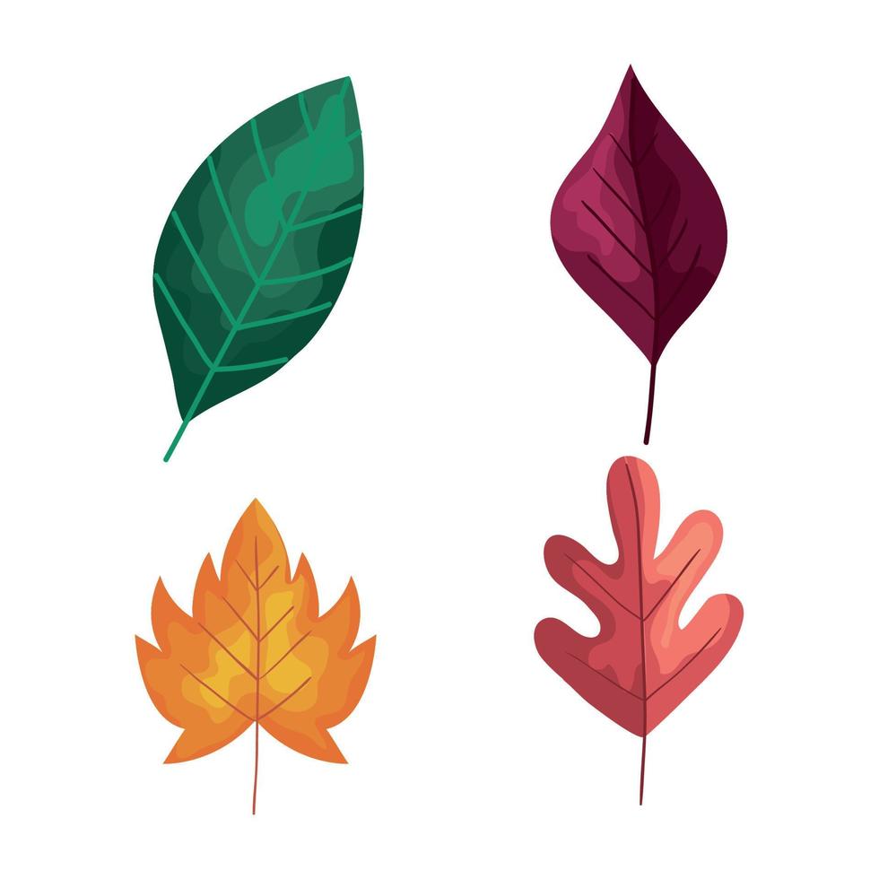 paquete de cuatro iconos de follaje de plantas de hojas de otoño vector