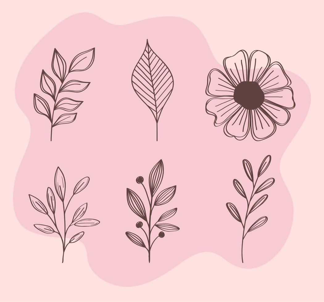 manojo de flores de primavera y hojas iconos de conjunto dibujados a mano vector