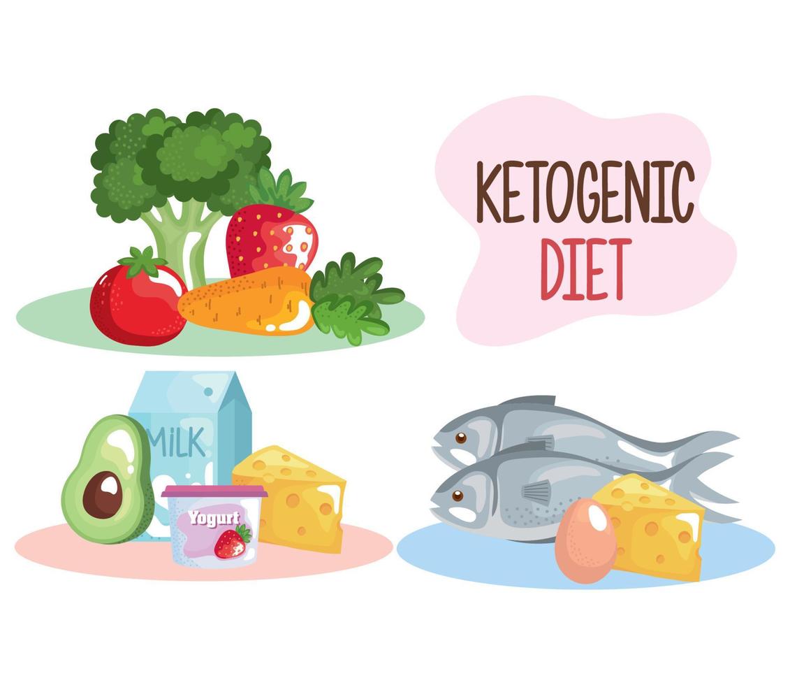 keto dieting icons vector